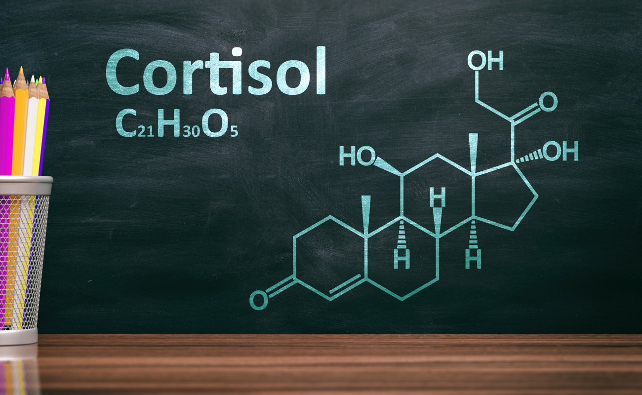 Hormon Cortisol
